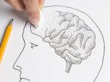 Educación y habilidades lingüísticas previenen la demencia 